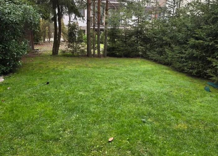 Aether ズラティボール